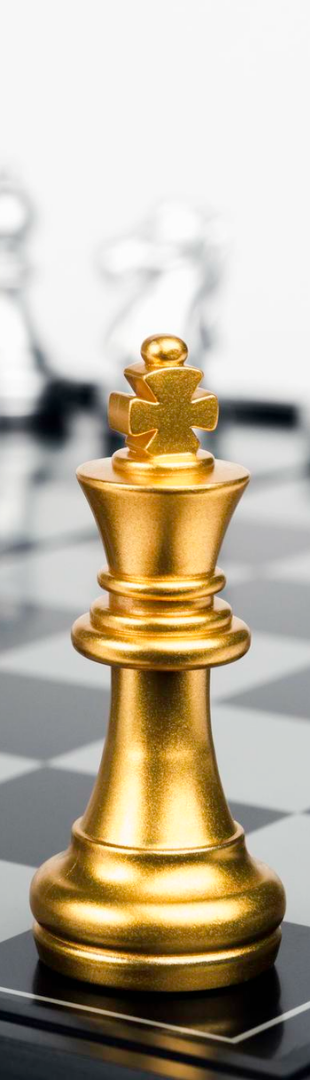 Risk Strategy Pillar